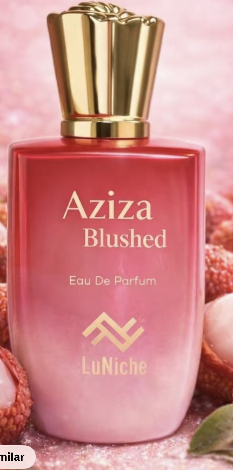 Blushed by Aziza - SAMPLE SIZE SELECTION